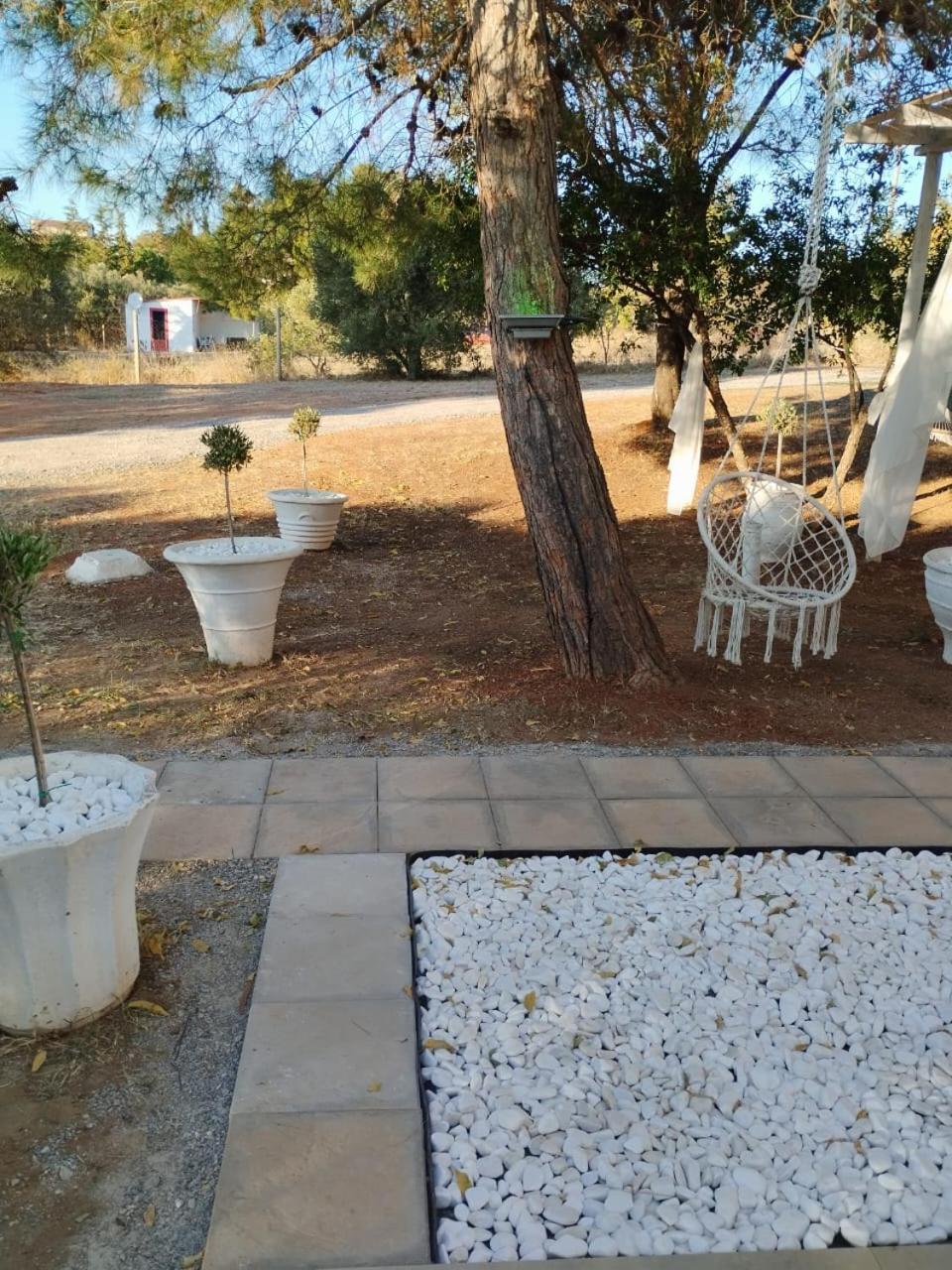 Black N' White Cozy Housegarden Alejandrópolis Exterior foto